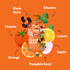 Black Bean, Apple, Pumpkin Seed & Mango Plant Protein