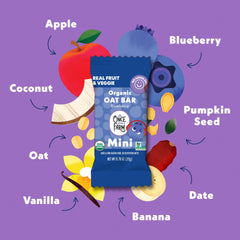 Mini Blueberry Refrigerated Oat Bar